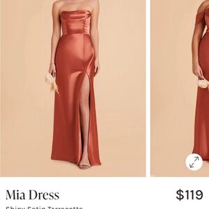 Birdy Grey Strapless Satin Dress in Terracotta